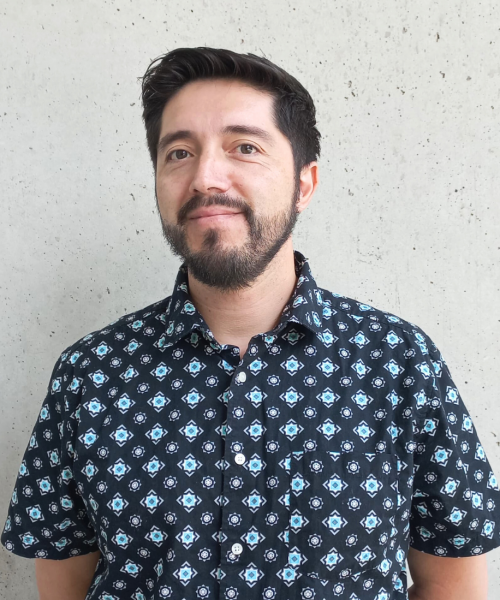 Ronald Alejandro Vargas Foitzick. MsC. PhD (C)